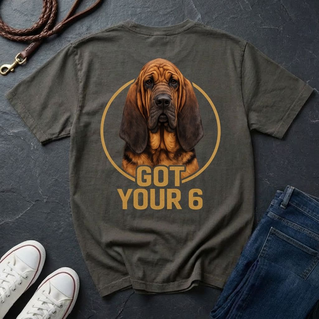 Gray Comfort Colors t-shirt with a bloodhound graphic and 'Got Your 6' text on a dark surface with shoes and jeans.