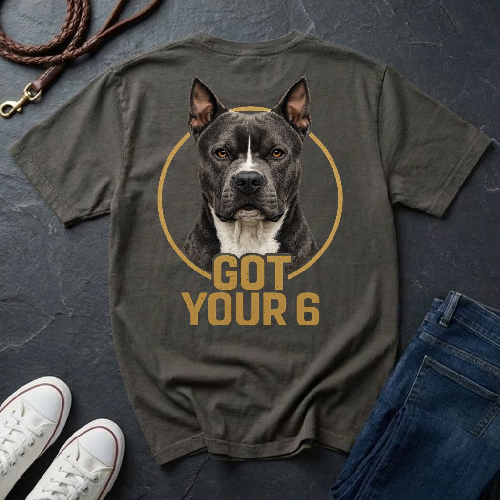 Gray Comfort Colors t-shirt with a dog graphic and 'GOT YOUR 6' text on a dark surface with shoes and jeans.